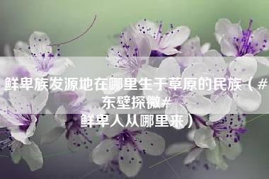 鲜卑族发源地在哪里生于草原的民族（#东壁探微# 鲜卑人从哪里来）