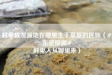 鲜卑族发源地在哪里生于草原的民族（#东壁探微# 鲜卑人从哪里来）