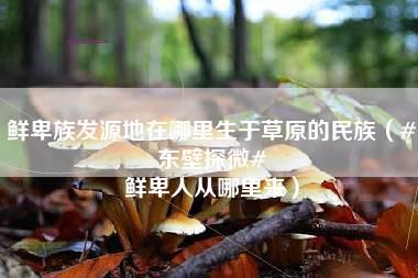 鲜卑族发源地在哪里生于草原的民族（#东壁探微# 鲜卑人从哪里来）