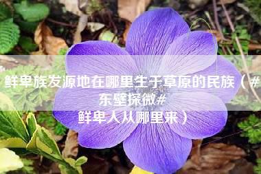 鲜卑族发源地在哪里生于草原的民族（#东壁探微# 鲜卑人从哪里来）