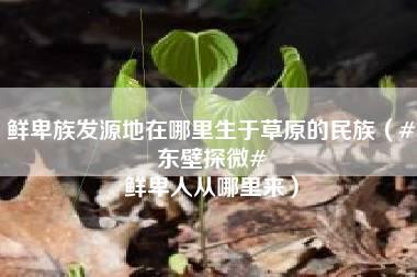 鲜卑族发源地在哪里生于草原的民族（#东壁探微# 鲜卑人从哪里来）