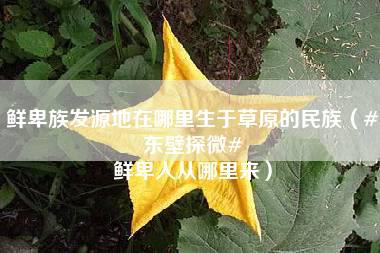 鲜卑族发源地在哪里生于草原的民族（#东壁探微# 鲜卑人从哪里来）