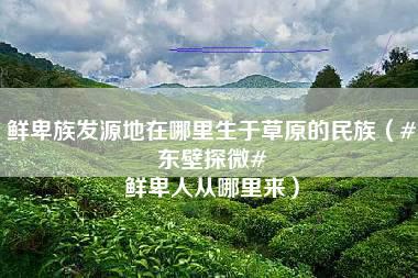 鲜卑族发源地在哪里生于草原的民族（#东壁探微# 鲜卑人从哪里来）