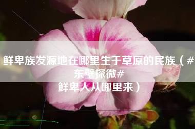 鲜卑族发源地在哪里生于草原的民族（#东壁探微# 鲜卑人从哪里来）