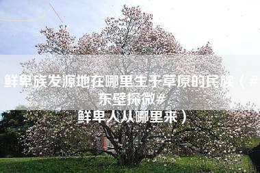 鲜卑族发源地在哪里生于草原的民族（#东壁探微# 鲜卑人从哪里来）