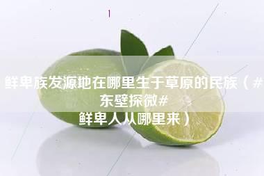 鲜卑族发源地在哪里生于草原的民族（#东壁探微# 鲜卑人从哪里来）