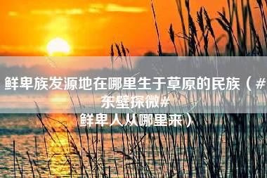 鲜卑族发源地在哪里生于草原的民族（#东壁探微# 鲜卑人从哪里来）