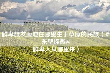 鲜卑族发源地在哪里生于草原的民族（#东壁探微# 鲜卑人从哪里来）