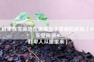 鲜卑族发源地在哪里生于草原的民族（#东壁探微# 鲜卑人从哪里来）