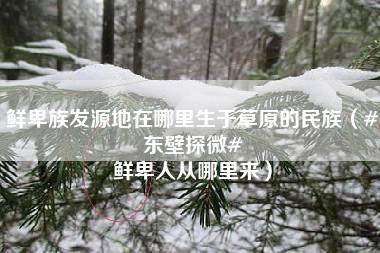 鲜卑族发源地在哪里生于草原的民族（#东壁探微# 鲜卑人从哪里来）