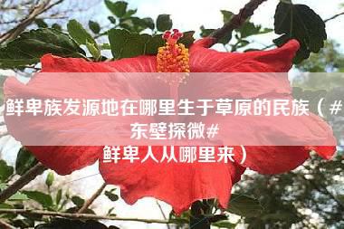 鲜卑族发源地在哪里生于草原的民族（#东壁探微# 鲜卑人从哪里来）