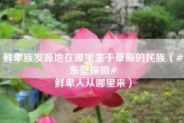 鲜卑族发源地在哪里生于草原的民族（#东壁探微# 鲜卑人从哪里来）