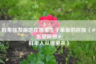 鲜卑族发源地在哪里生于草原的民族（#东壁探微# 鲜卑人从哪里来）