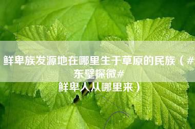 鲜卑族发源地在哪里生于草原的民族（#东壁探微# 鲜卑人从哪里来）