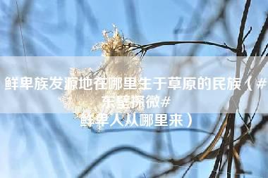 鲜卑族发源地在哪里生于草原的民族（#东壁探微# 鲜卑人从哪里来）