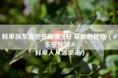 鲜卑族发源地在哪里生于草原的民族（#东壁探微# 鲜卑人从哪里来）