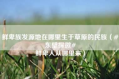 鲜卑族发源地在哪里生于草原的民族（#东壁探微# 鲜卑人从哪里来）