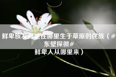 鲜卑族发源地在哪里生于草原的民族（#东壁探微# 鲜卑人从哪里来）