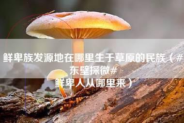 鲜卑族发源地在哪里生于草原的民族（#东壁探微# 鲜卑人从哪里来）