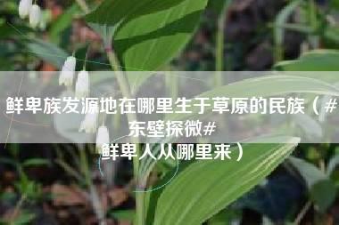 鲜卑族发源地在哪里生于草原的民族（#东壁探微# 鲜卑人从哪里来）