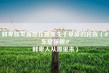 鲜卑族发源地在哪里生于草原的民族（#东壁探微# 鲜卑人从哪里来）