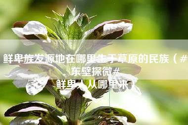 鲜卑族发源地在哪里生于草原的民族（#东壁探微# 鲜卑人从哪里来）