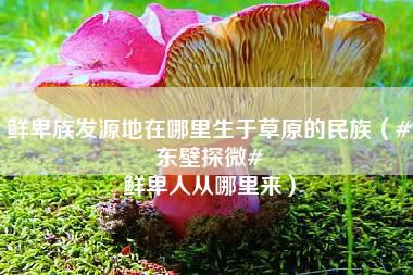 鲜卑族发源地在哪里生于草原的民族（#东壁探微# 鲜卑人从哪里来）