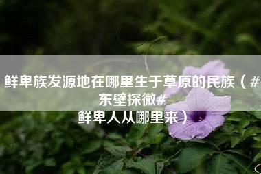 鲜卑族发源地在哪里生于草原的民族（#东壁探微# 鲜卑人从哪里来）