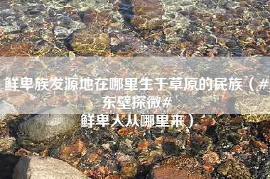 鲜卑族发源地在哪里生于草原的民族（#东壁探微# 鲜卑人从哪里来）