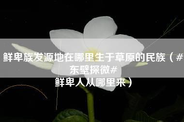 鲜卑族发源地在哪里生于草原的民族（#东壁探微# 鲜卑人从哪里来）