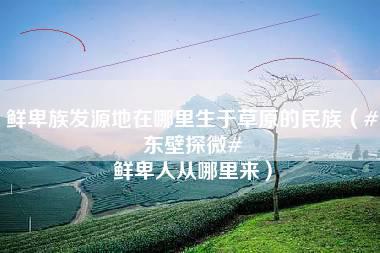 鲜卑族发源地在哪里生于草原的民族（#东壁探微# 鲜卑人从哪里来）