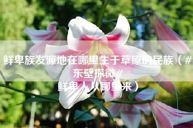 鲜卑族发源地在哪里生于草原的民族（#东壁探微# 鲜卑人从哪里来）