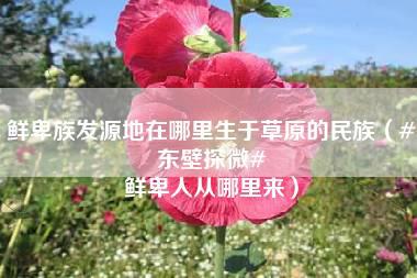 鲜卑族发源地在哪里生于草原的民族（#东壁探微# 鲜卑人从哪里来）