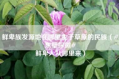 鲜卑族发源地在哪里生于草原的民族（#东壁探微# 鲜卑人从哪里来）