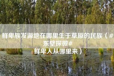 鲜卑族发源地在哪里生于草原的民族（#东壁探微# 鲜卑人从哪里来）