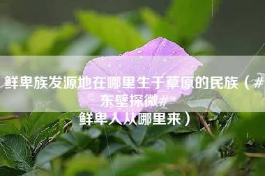 鲜卑族发源地在哪里生于草原的民族（#东壁探微# 鲜卑人从哪里来）