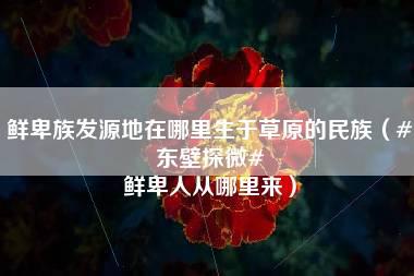 鲜卑族发源地在哪里生于草原的民族（#东壁探微# 鲜卑人从哪里来）