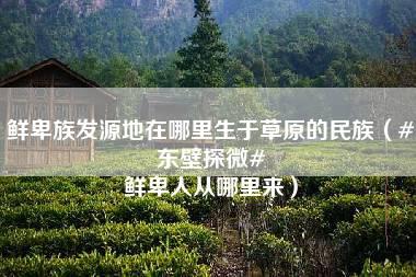 鲜卑族发源地在哪里生于草原的民族（#东壁探微# 鲜卑人从哪里来）