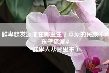 鲜卑族发源地在哪里生于草原的民族（#东壁探微# 鲜卑人从哪里来）