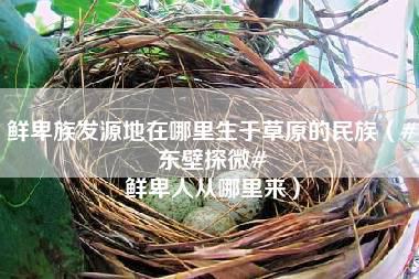 鲜卑族发源地在哪里生于草原的民族（#东壁探微# 鲜卑人从哪里来）