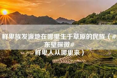 鲜卑族发源地在哪里生于草原的民族（#东壁探微# 鲜卑人从哪里来）