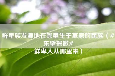 鲜卑族发源地在哪里生于草原的民族（#东壁探微# 鲜卑人从哪里来）