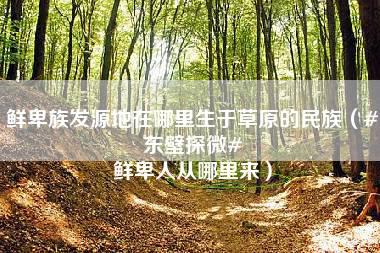 鲜卑族发源地在哪里生于草原的民族（#东壁探微# 鲜卑人从哪里来）