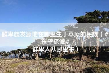 鲜卑族发源地在哪里生于草原的民族（#东壁探微# 鲜卑人从哪里来）