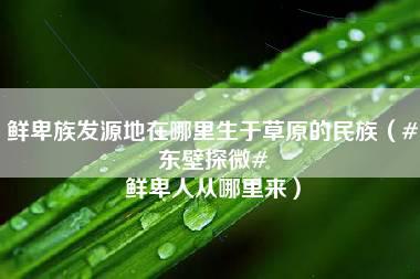 鲜卑族发源地在哪里生于草原的民族（#东壁探微# 鲜卑人从哪里来）