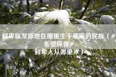 鲜卑族发源地在哪里生于草原的民族（#东壁探微# 鲜卑人从哪里来）