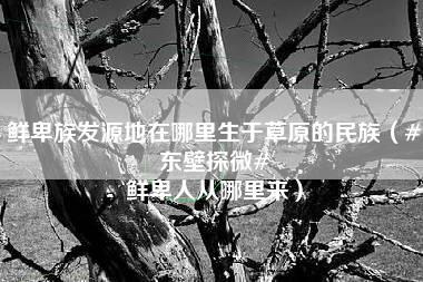 鲜卑族发源地在哪里生于草原的民族（#东壁探微# 鲜卑人从哪里来）