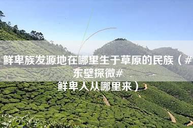 鲜卑族发源地在哪里生于草原的民族（#东壁探微# 鲜卑人从哪里来）