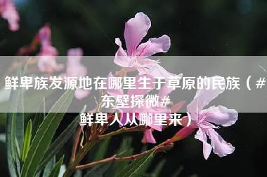 鲜卑族发源地在哪里生于草原的民族（#东壁探微# 鲜卑人从哪里来）