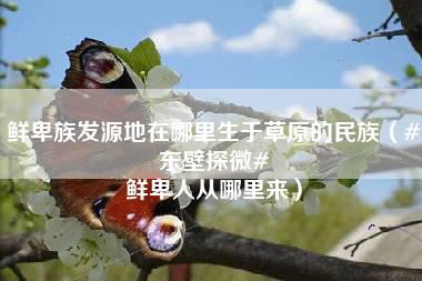 鲜卑族发源地在哪里生于草原的民族（#东壁探微# 鲜卑人从哪里来）